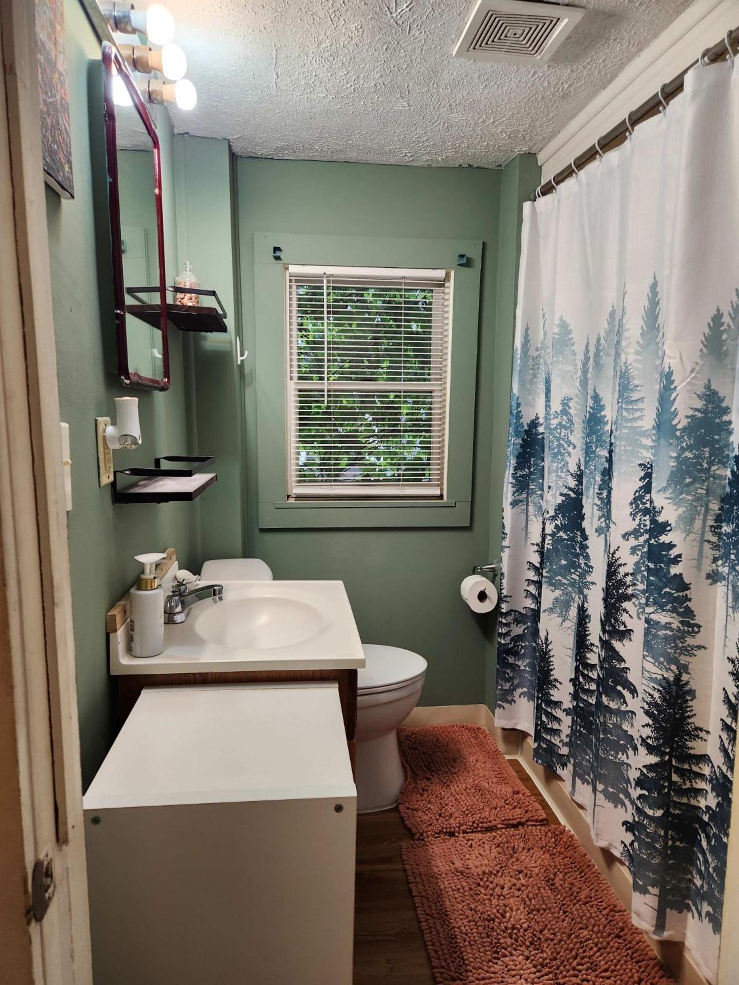 Cozy 3 Bedroom House In Downtown イサカ エクステリア 写真